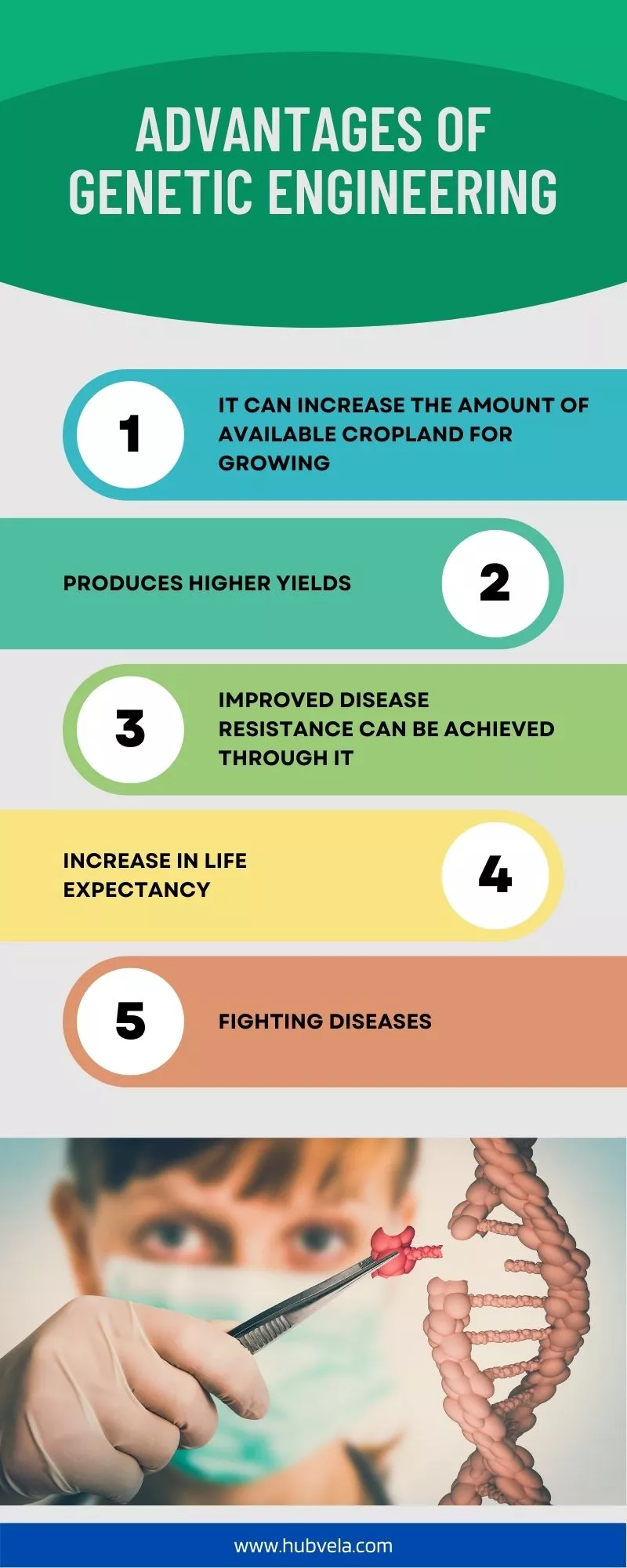 Advantages Of Genetic Engineering Infographic