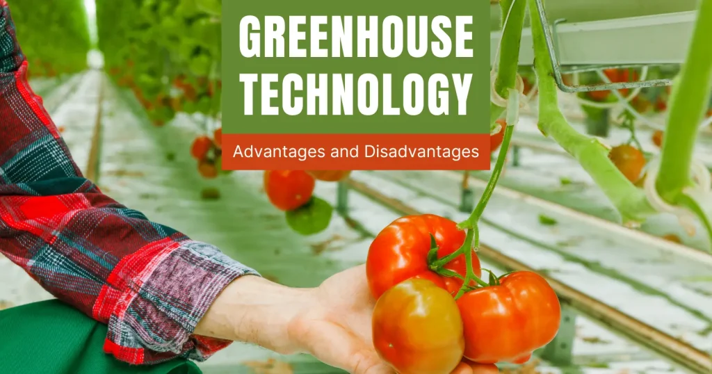 Advantages and Disadvantages of Greenhouse Technology