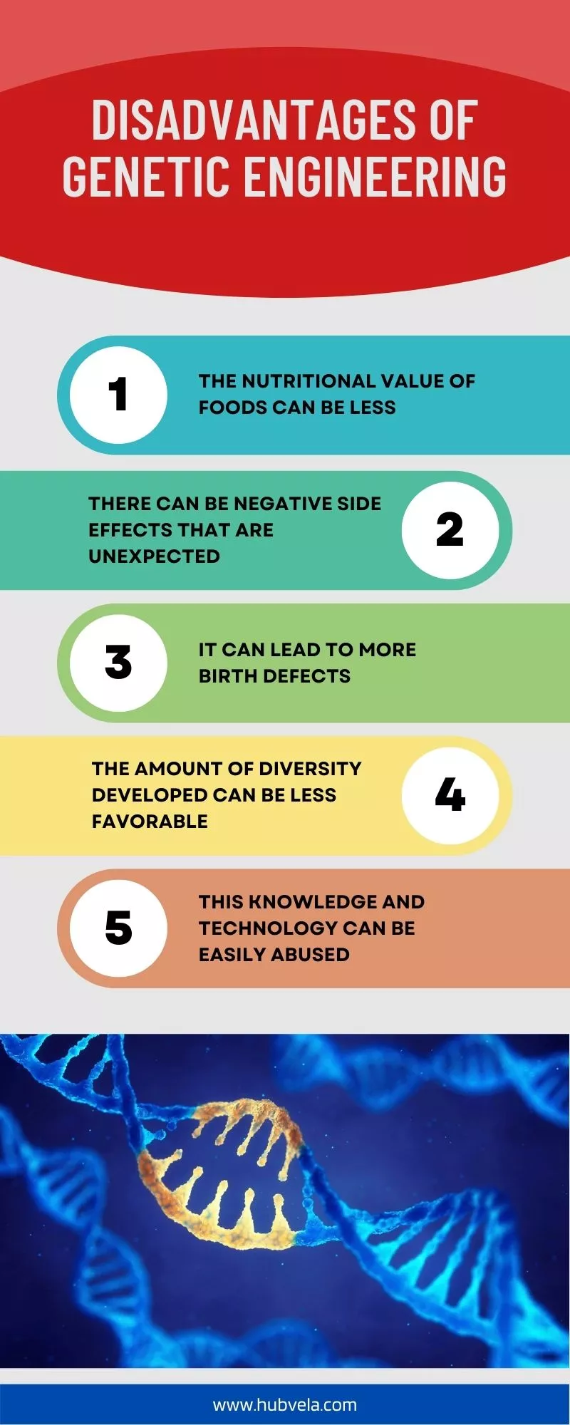 Disadvantages Of Genetic Engineering Infographic