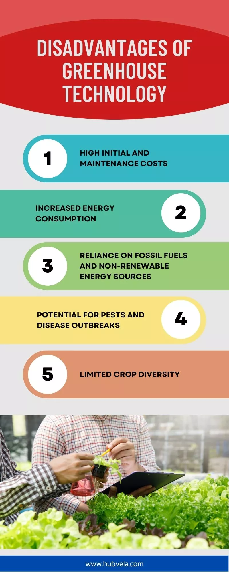 Disadvantages of Greenhouse Technology Infographic