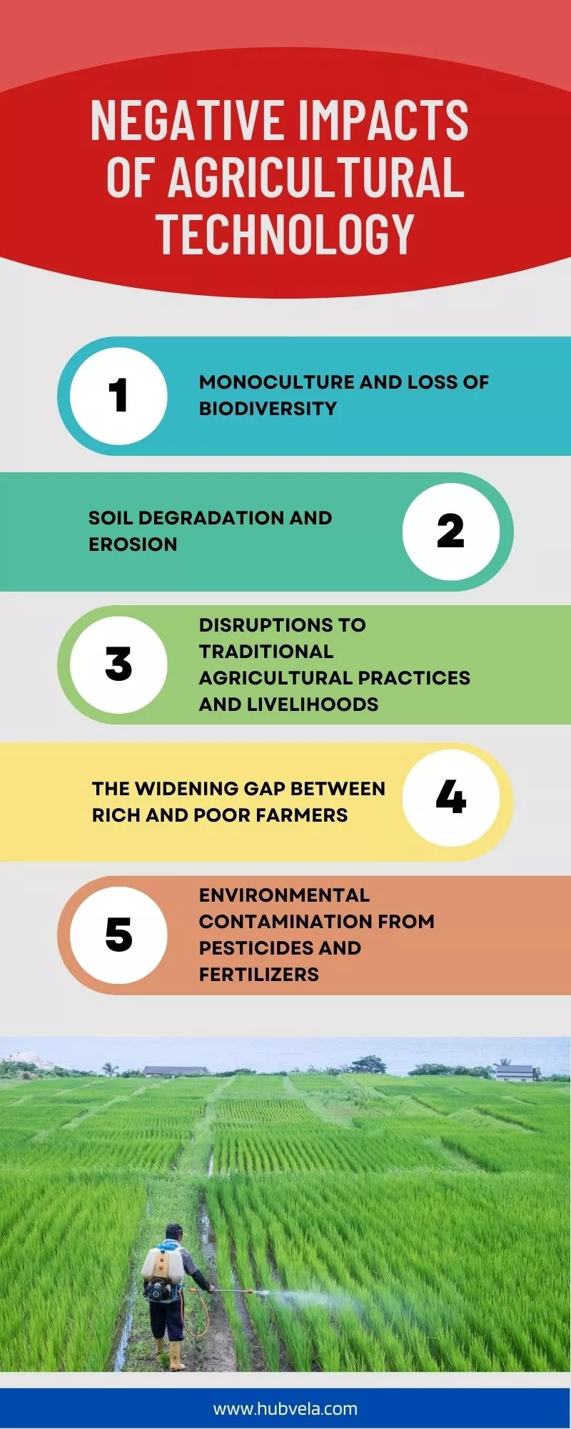 Negative Impacts of Agricultural Technology infographic