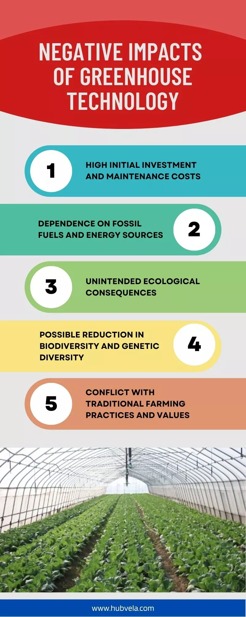 Negative Impacts of Greenhouse Technology infographic