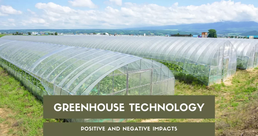Positive and Negative Impacts of Greenhouse Technology