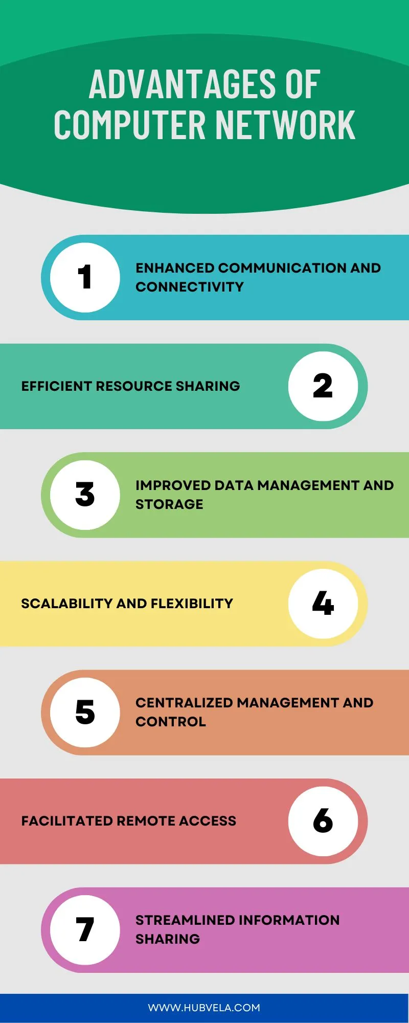 Advantages of Computer Network Infographic